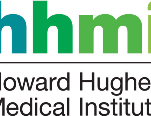 Scientific Mentorship Initiative at HHMI